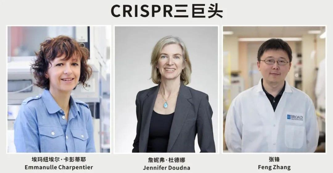 中國科學(xué)家張峰專利勝訴諾貝爾化學(xué)獎得主，看基因編輯的專利布局
