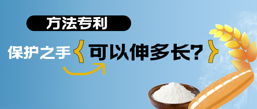 小麥，面粉與面包——方法專利的保護之手，可以伸多長